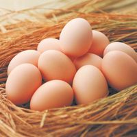 秋川牧園 秋川牧園の卵でつくったたまご村プリン　４個 AKB-001 1個（直送品）