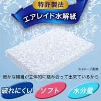 激落ちくん クリンぱトイレクリーナー 厚手・大判 1セット（4パック：10枚入×2パック×2個） レック