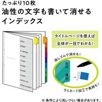 マルマン セッション バインダー A4 30穴 ブルー F584-02 1冊