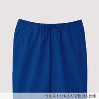 フォーク PANTONE（パントン） メンズストレートパンツ アルティメットグレー 5018SC-75-3L 1枚（直送品）