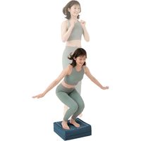 サンファミリー 体幹ぴょんぴょんホップステッパー2個 ネイビー×2 a2535010 1個(2個組)（直送品）