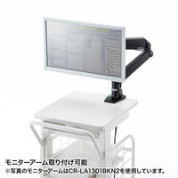 サンワサプライ カンチ式昇降カルテカート RAC-HP105W 1個（直送品）