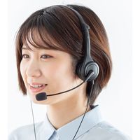 サンワサプライ USBヘッドセット MM-HSU18BK 1個