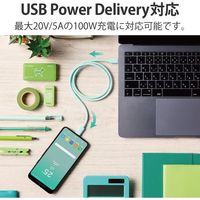 タイプCケーブル (USB-C to C) PD対応 100W USB4 80cm USB4-APCC5P08GN エレコム 1本（直送品）