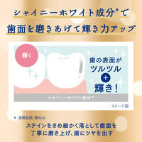 【アウトレット】Ora2（オーラツー）プレミアム ステインクリア シャイニーシトラスミント 100g 美白 歯磨き粉 1本 医薬部外品 サンスター