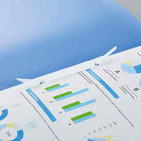 LIHIT LAB. ルーパーファイル クリスタルブルー F3006-5P-20 1箱（25冊：5冊入×5袋）