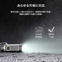 NICRON B74i 首振り 600LM 1個（直送品）