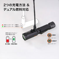 NICRON B74Pro 首振り 1000LM 1個（直送品）
