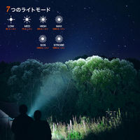 NICRON C1G ポケットライト グリーン 1200LM C1-G 1個（直送品）