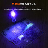 NICRON K11 キーチェーンポケットライト 400LM v3.0 1個（直送品）