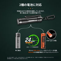 NICRON N1pro ポケットライト カラビナ付 1000LM N1 pro 1個（直送品）