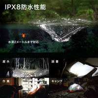 NICRON C3ポケットライト 1000LM C3 1個（直送品）