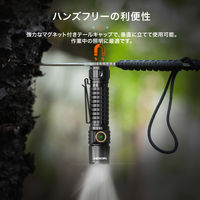 NICRON C6 フラッシュライト ブラック IPX8 2000LM 1個（直送品）