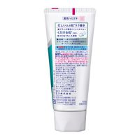 歯磨き粉 高濃度フッ素配合 クリアクリーンNEXDENT エクストラフレッシュ 120g 1本 花王