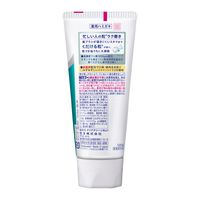 歯磨き粉 高濃度フッ素配合 クリアクリーンNEXDENT シャインシトラス 120g 1本 花王