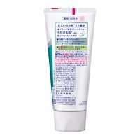 歯磨き粉 高濃度フッ素配合 クリアクリーンNEXDENT ピュアミント 120g 1本 花王