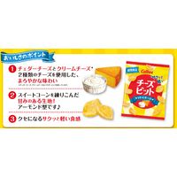スナック菓子 食べきりサイズ チーズビット　まろやかチーズ味　45g 1セット（1個×6）