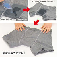 ファミリー・ライフ NEWさわやか安心ボクサーパンツ 大吸収用タイプ 2色組 同サイズ LL a3611804 1セット(2色入)（直送品）