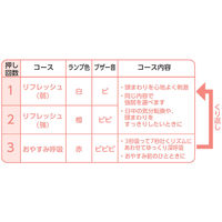 アテックス ドライヘッドスパ マドロムーン グレー a3613010 1台（直送品）