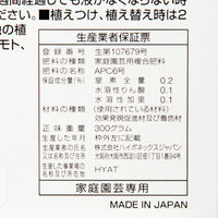 ハイポネックスジャパン ハイポネックス 観葉植物の肥料アンプル(30mL×10本入) 307201 1個（直送品）