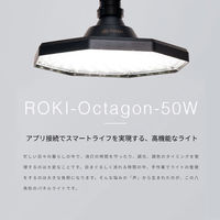 BARREL ROKIーOctagon LED 50W BK E26口金 311242 1個（直送品）