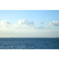 日本海水 食塩 5kg 1セット（1個×４）業務用 大容量