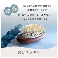 アヌシ Oval ゴールドピンブラシAOJ-3000 82438 1個（直送品）