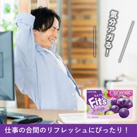Ｆｉｔ’ｓ＜グレープミックス＞ 1セット（5個入）