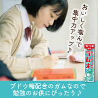 ガム チウインガム ラムネ 9枚入 1セット(1個×10)