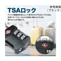 Trimate ダイヤル錠 ワイヤー式 シルバー AFF-WKBD005-SL 1個 60-7278-12（直送品）