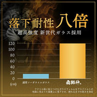 MSソリューションズ iPhone 17 Pro ガラスフィルム 覗き見防止180° GG-IP25GLFN 1個（直送品）