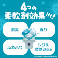ボールド ジェルボール 4in1 フレッシュサボンの香り 本体 1セット（11粒入×6個） 洗濯洗剤 P＆G