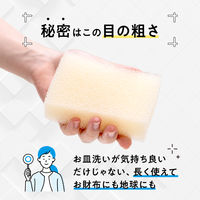 パックスナチュロン キッチンスポンジ 水切れがよい 長持ち 食器洗い 紅白 1パック（2個組）太陽油脂
