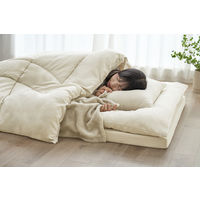 アイリスオーヤマ こだわりマットレス付き布団10点セット グレージュ KFSーKM10S 1セット