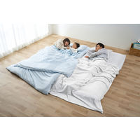 アイリスオーヤマ こだわりマットレス付き布団10点セット ライトブルー KFSーKM10S 1セット