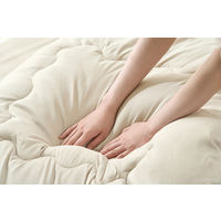 アイリスオーヤマ ベッド用布団3点セット Ｓ グレージュ KFSーB3S 1セット