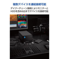LaCie 2big Dock v2 60TB STLG60000400 エレコム 1個（直送品）