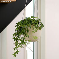 リッチェル 鉢 グレーニー ハングポット 13型 アイボリー 288438 1個（直送品）