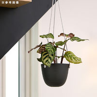 リッチェル 鉢 グレーニー ハングポット 16型 ブラック 288439 1個（直送品）