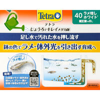 テトラ じょうろでキレイメダカ鉢 ４０ ラメ増しホワイト ソーラー エアレーションセット1個（直送品）