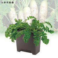 リッチェル プランター 菜園上手 深50型 ダークブラウン 299374 1個（直送品）