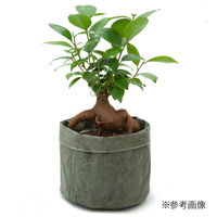 リーフ 鉢カバー 軽量鉢カバー 3号用 モスグリーン 930264 1個（直送品）