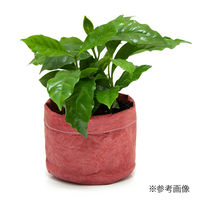 リーフ 鉢カバー 軽量鉢カバー 3号用 ワインレッド 930266 1個（直送品）