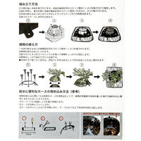 リーフ コウモリランバスケット 簡単板付けセット ブラック 板付き 930441 1個（直送品）