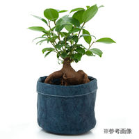 リーフ 鉢カバー 軽量鉢カバー 3号用 ネイビー 930267 1個（直送品）