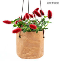 リーフ 鉢カバー 軽量 吊り下げ鉢カバー 3~3.5号用 ナチュラル 930569 1個（直送品）