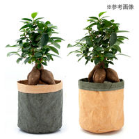 リーフ 鉢カバー 軽量鉢カバー リバーシブル 5号用 モスグリーン×ナチュラル 930654 1個（直送品）