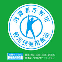 ガム キシリトールガム ライムミント 大容量パウチ 266g 1個