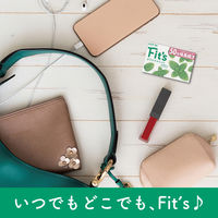 ガム Fit's フィッツ オリジナルミント 12枚入 1セット（1個×20）