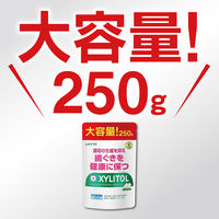 ガム キシリトール オーラテクトガム クリアミント 大容量パウチ 250g 1セット（1個×3）